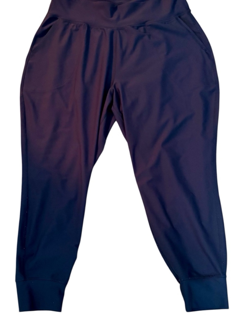 Women’s Navy Active Jogger Pants